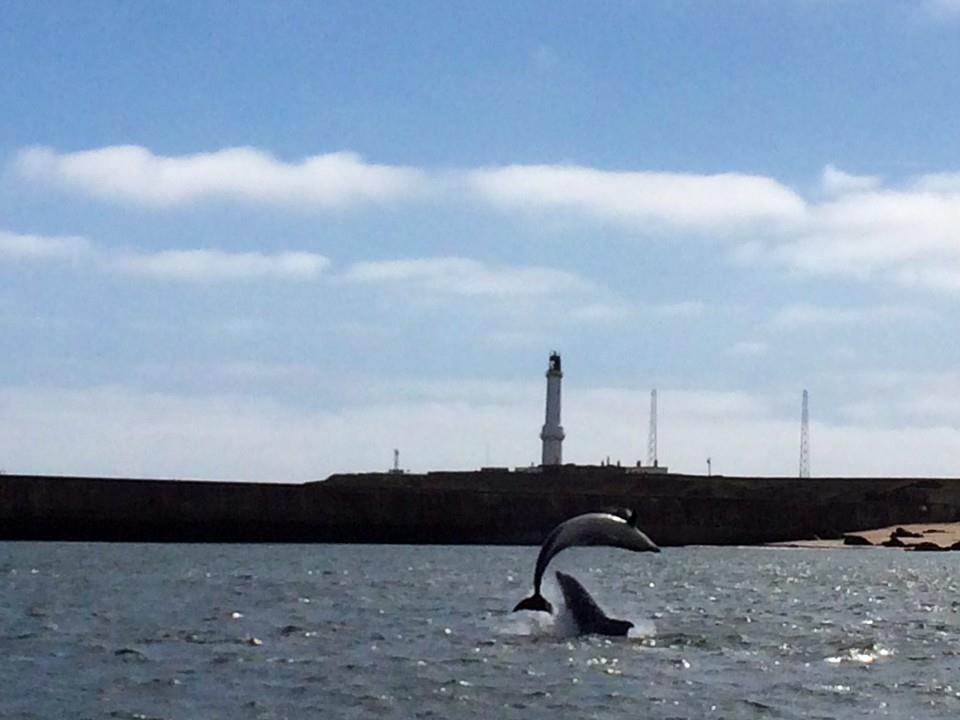 Aberdeen Lighthouse Cottages - Coastal, Dolphins エクステリア 写真